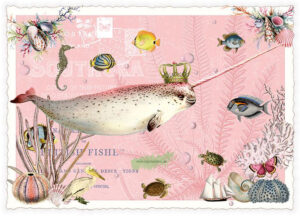 Narwhal - Edition Tausendschön PK1262