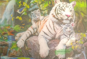 3D - Tiger