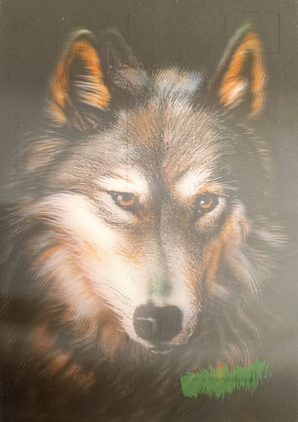 3D - Wolf