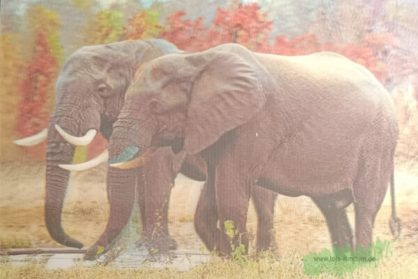 3D - Elephants