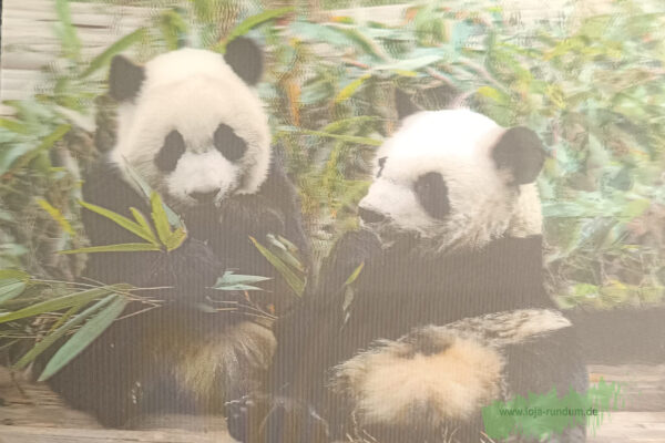 3D - Pandas