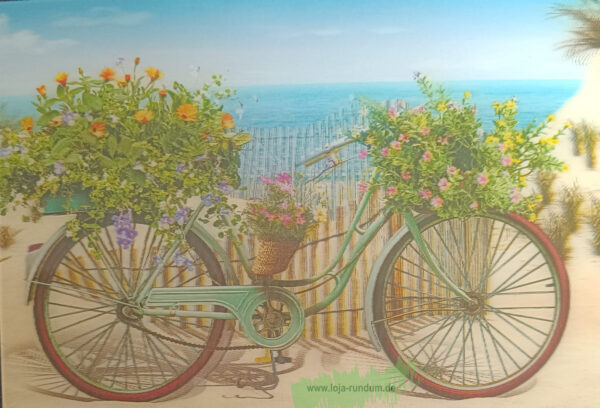 3D - Bicycle