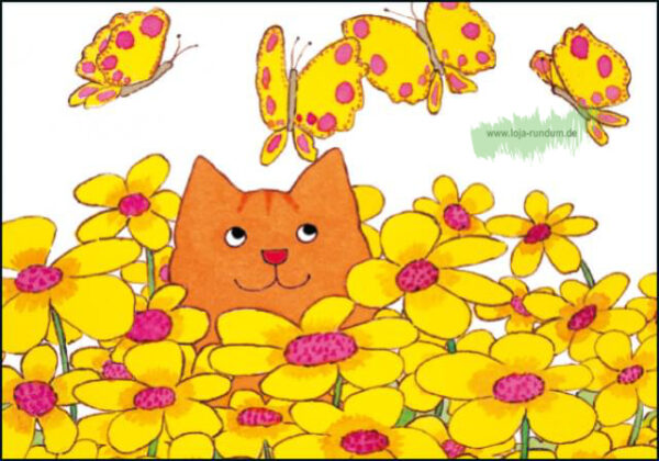 Blumen - Dikkie Dik - B&B