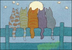 Katzen - Dikkie Dik - B&B