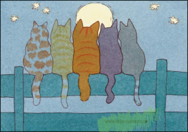 Katzen - Dikkie Dik - B&B