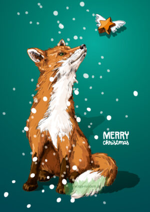 illi - TOXBO Merry Christmas - nobis design