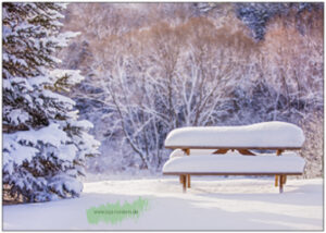 Picknicktisch in Winterlandschaft - TAURUS Kunstkarten