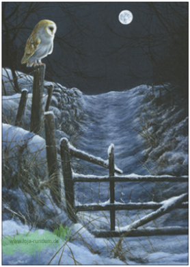 Der Mond des Jägers - Schleiereule, 2018 - Taurus Kunstkarten