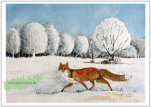 Schnüren im Schnee (Fuchs)- Taurus Kunstkarten