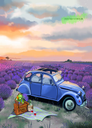 Duck in a lavender field