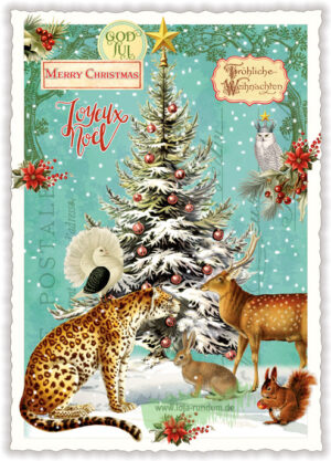 Christmas - Edition Tausendschön PK1171