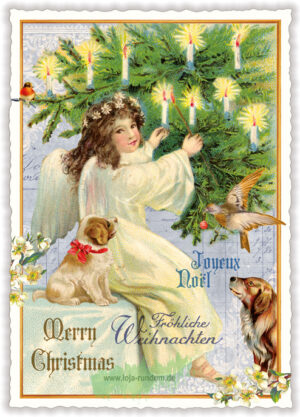 Christmas - Edition Tausendschön PK1172