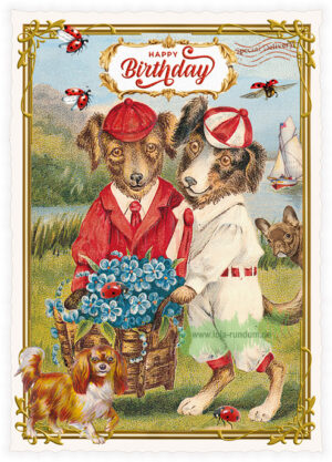 Happy Birthday  - Edition Tausendschön PK1273