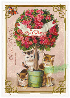 Happy Birthday  - Edition Tausendschön PK1275
