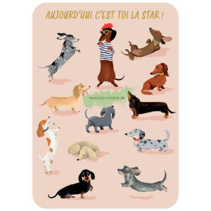 HEUTE BIST DU DER STAR - Cartesdart