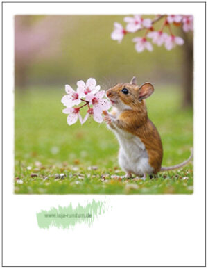 Hase mit Blume - Pola TAURUS Kunstkarten