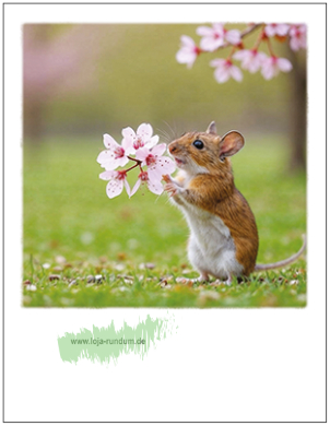 Hase mit Blume - Pola TAURUS Kunstkarten