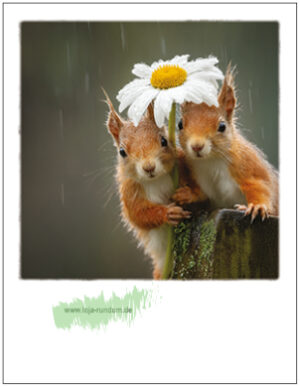 Eichhörnchen mit Blume als Regenschirm - Pola TAURUS Kunstkarten