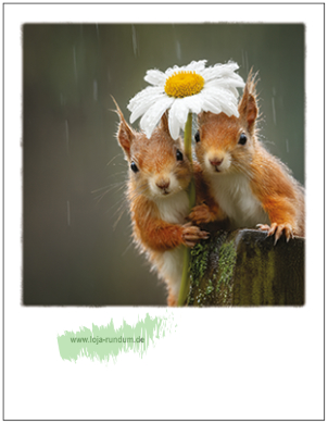 Eichhörnchen mit Blume als Regenschirm - Pola TAURUS Kunstkarten