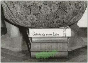 Sitting on a stack of books from behind - TAURUS art cards