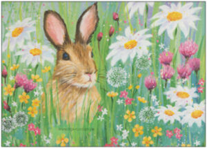 Hare in a wildflower meadow - TAURUS art cards