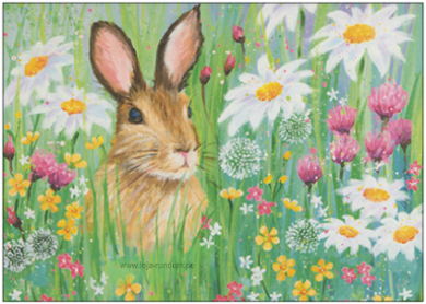 Hase in einer Wildblumenwiese - TAURUS Kunstkarten