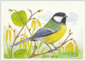 Kohlmeise in den Zweigen - Taurus Kunstkarten