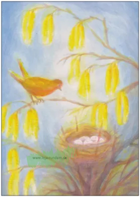 Bird at its nest - TAURUS art cards