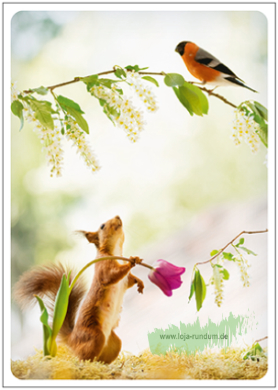 Squirrels and bullfinches - Taurus art cards