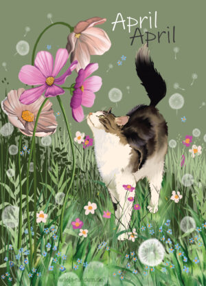 Walking on velvet paws all year round - April