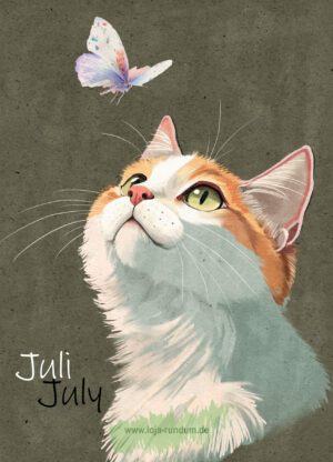 Walking on velvet paws all year round - July