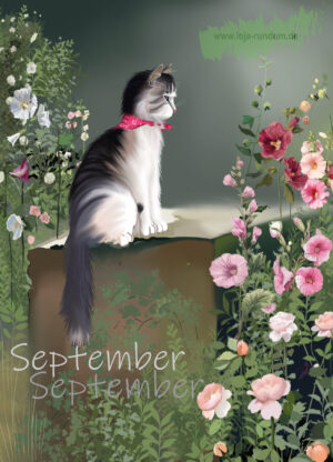 Walking on velvet paws all year round - September