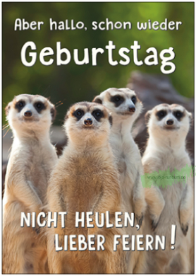 Aber hallo, schon wieder Geburtstag (Erdmännchen) - Taurus Kunstkarten
