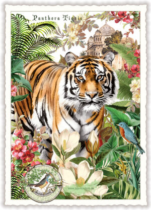 Tiger - Edition Tausendschön PK1317