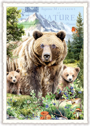 Bär - Edition Tausendschön PK1319