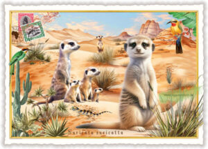 Erdmännchen - Edition Tausendschön PK1325