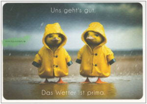 We're doing well. The weather is great. (Chick with rain jacket) - TAURUS art cards