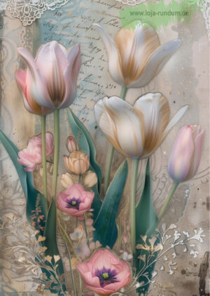 Tulpen aus Holland Tulpen NR. 3
