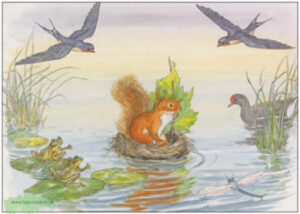 Eichhörnchen auf Floßfahrt Nr.379 - Taurus Kunstkarten