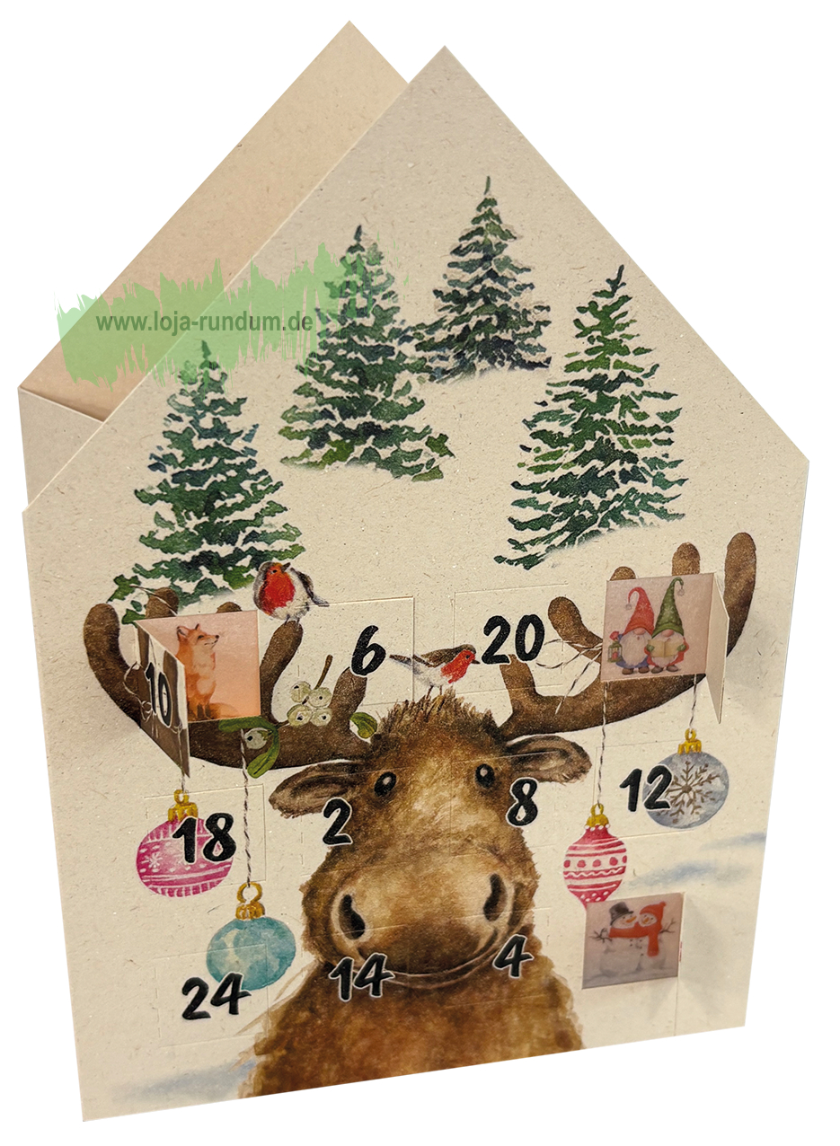 Teelicht Haus leuchtender Adventskalender - Elch im Winterwald - Edition Gollong