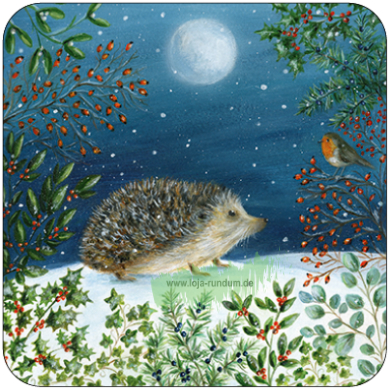 Winter Night Scene with a Hedgehog and a Robin - Taurus Art Cards