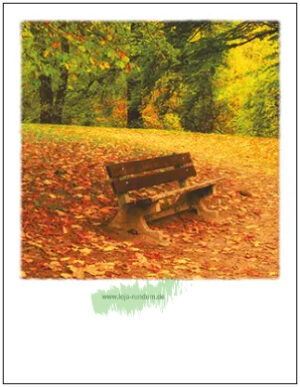 Park Bench in the Fall - Pola TAURUS art cards