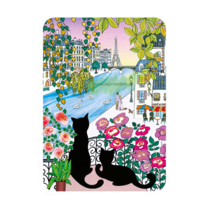 PARIS - Cartesdart