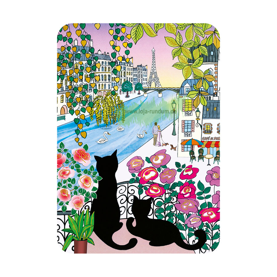 PARIS - Cartesdart