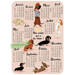 2027 CALENDAR Dachshund - Cartesdart